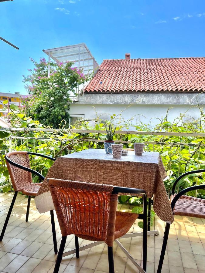 Garden House Budva Exterior photo